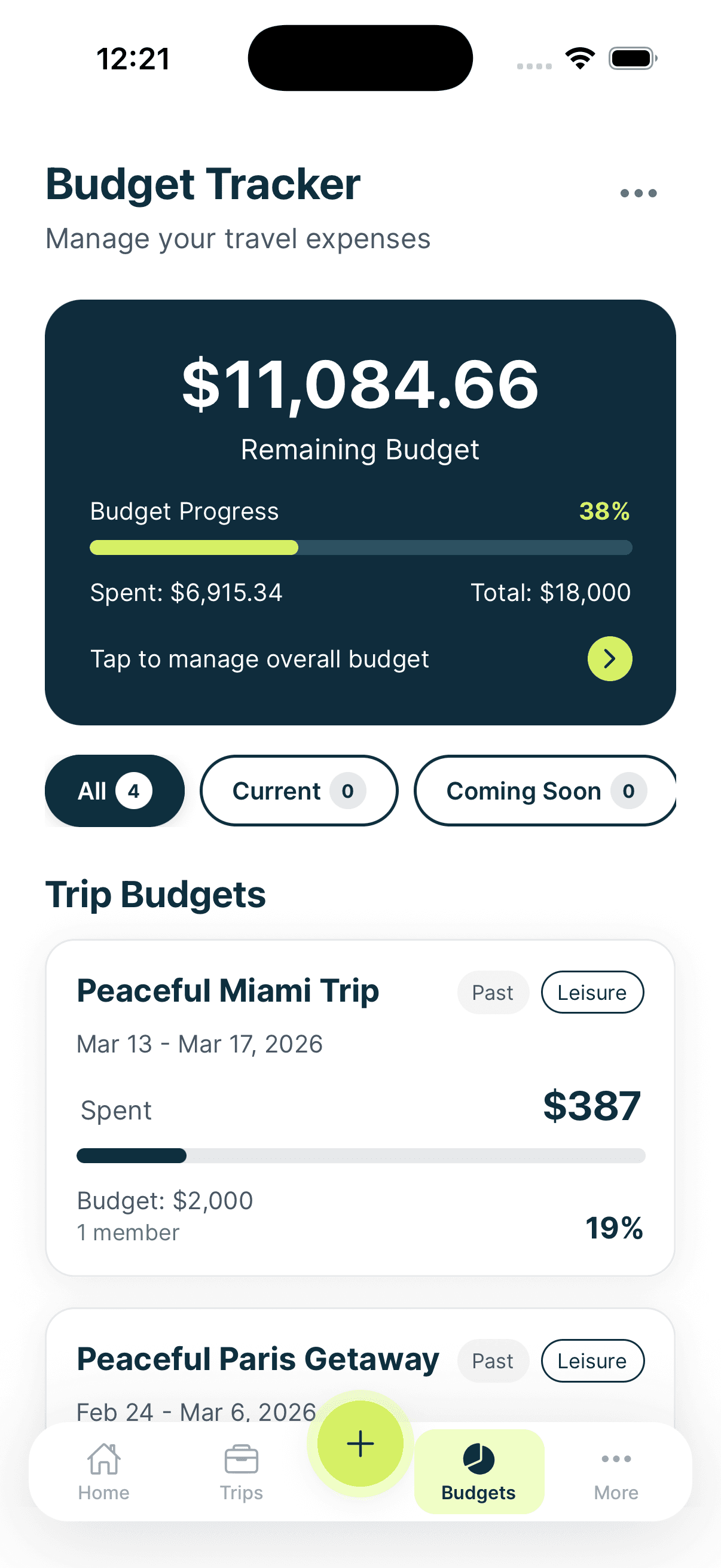 Budget and expense splitting