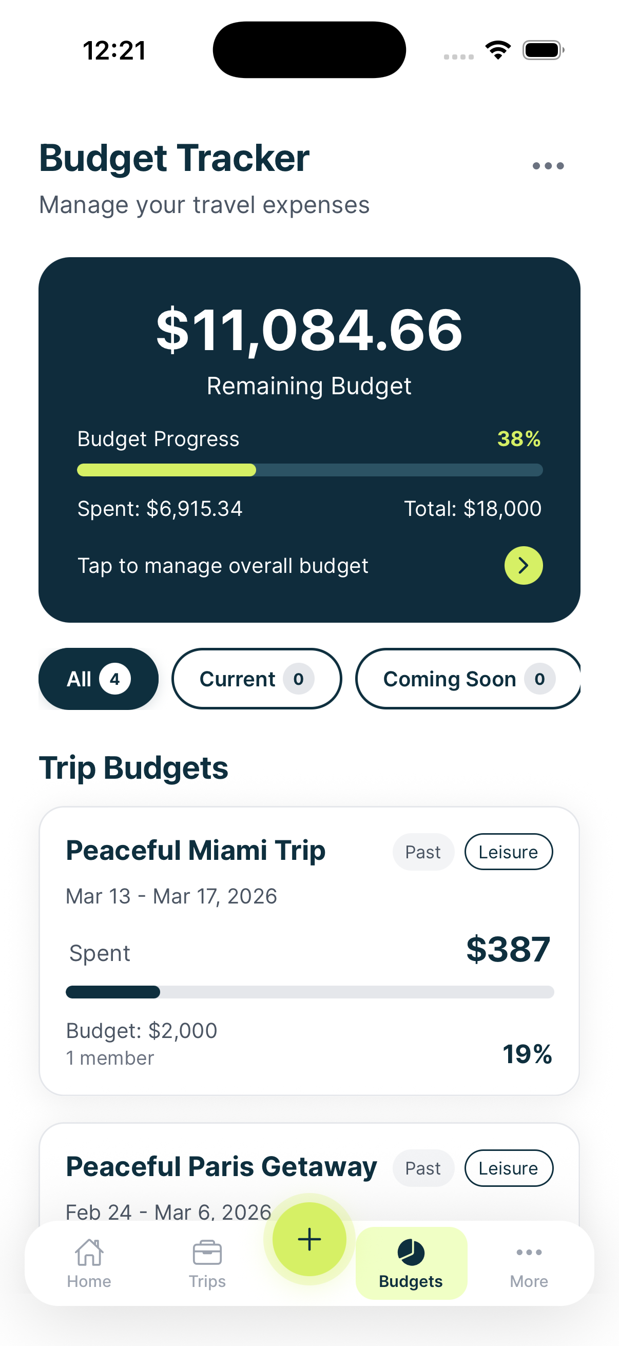 Budget and expense splitting